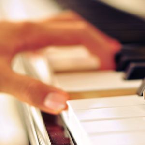 欧美XXX柔术做爰
