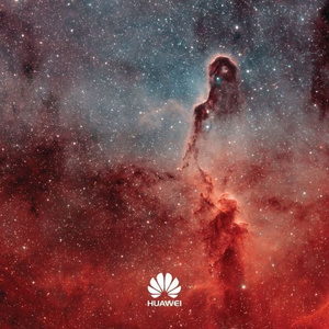 欧美XXX柔术做爰
