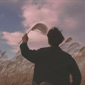 欧美XXX柔术做爰
