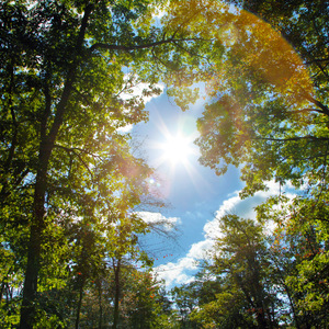 欧美XXX柔术做爰
