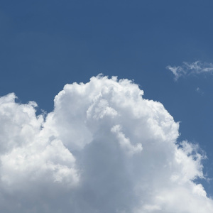 欧美XXX柔术做爰
