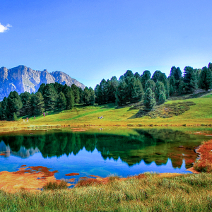 欧美XXX柔术做爰
