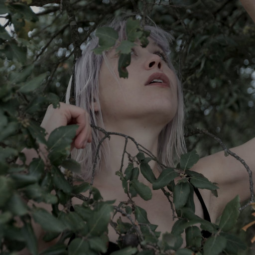 欧美XXX柔术做爰
